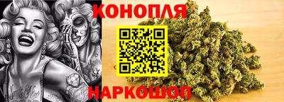 PSILOCYBIN Новозыбков